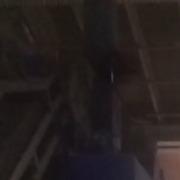 Profile photo of Senad Veliu